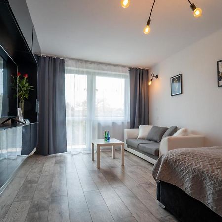 Apartament Nero ミエレツ エクステリア 写真